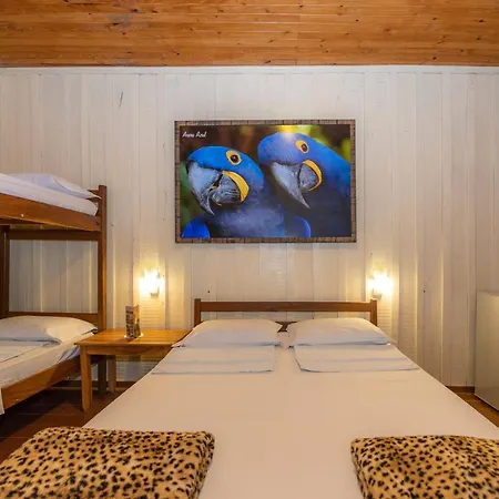 Pantanal Jungle Lodge-3